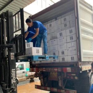Edge banding transport