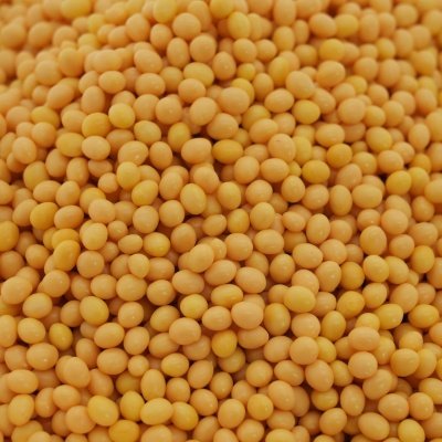 EVA hot melt adhesive color sample 6